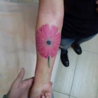 Flor Gerbera tatuaje realizado por El pinchi borre