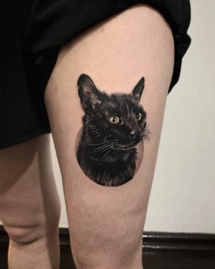 Gato realismo tatuaje realizado por Bòox