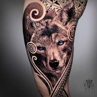 Retrato de Coyote tatuaje realizado por Coen Mitchell Tattoo Gold