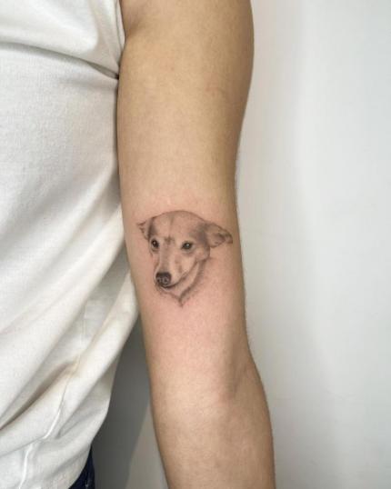 Tatuaje de Retrato de perro realizado por Wicky Nicky  tatuaje realizado por Wicky Nicky 