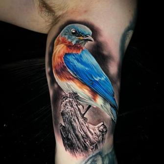 Tatuaje de ave azul oriental en el brazo realizado por TJ Schunemann tatuaje realizado por TJ Schunemann