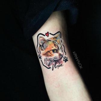 Tatuaje de gato retrato realizado por Krn Havok tatuaje realizado por Krn Havok Tattoo