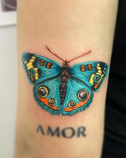 Tatuaje de mariposa Saturnia realizado por Sam Guerrero tatuaje realizado por Sam Guerrero